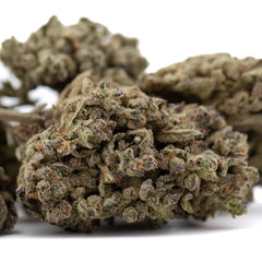 Premium Mendo Breath THCa hemp flower bud with dense trichomes