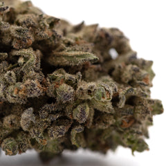 Premium Mendo Breath THCa Flower: Dense Trichomes, Vibrant Green Bud