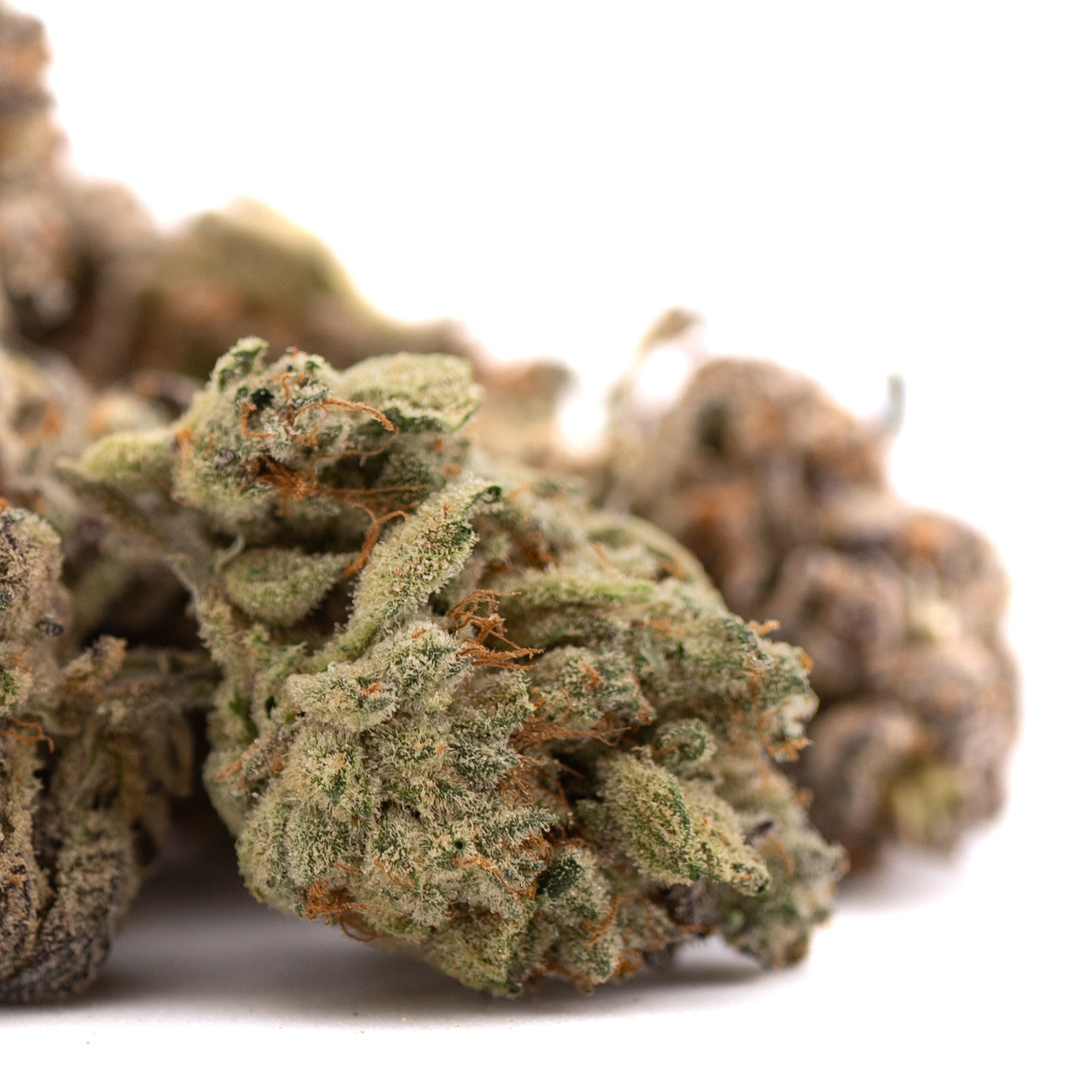 Money Ball Indoor THCa Flower with cannabis buds, trichomes, and orange pistils