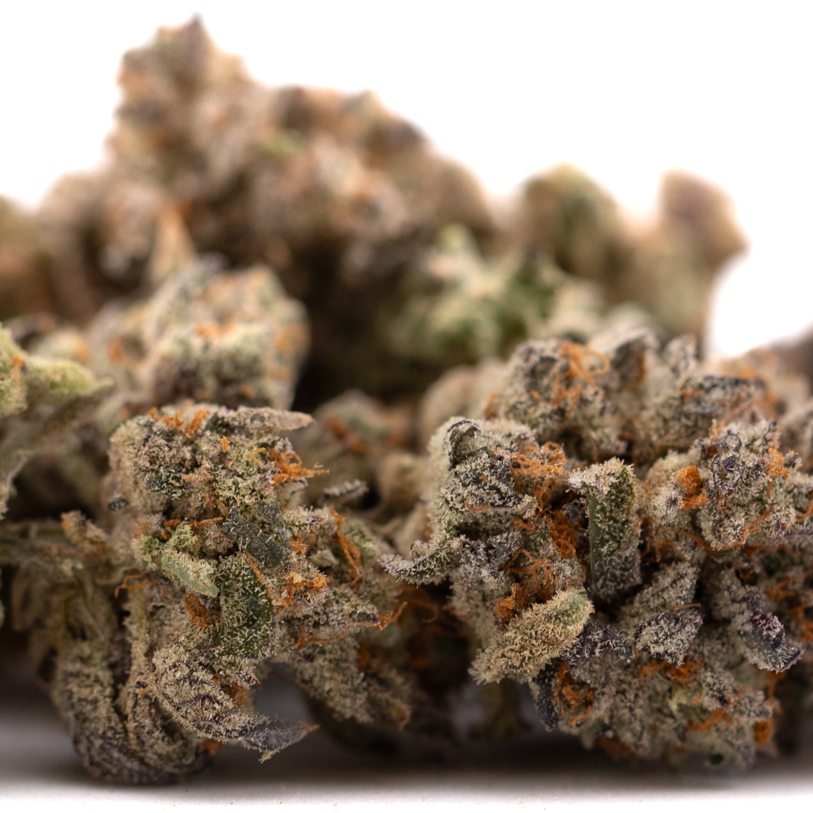 Money Ball Indoor THCa Flower with orange hairs and frosty trichomes for premium effects profile