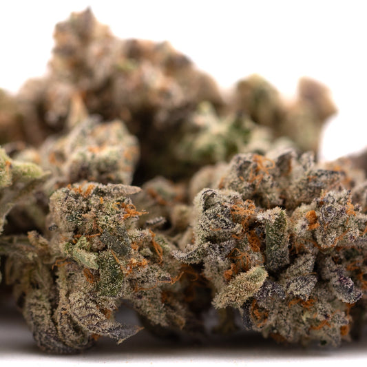 Money Ball Indoor THCa Flower with orange hairs and frosty trichomes for premium effects profile