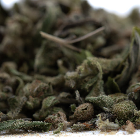 Fog Dog Full-Term THCa Trim Wholesale