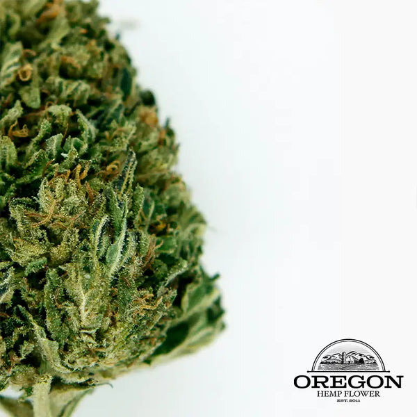 oregon hemp flower