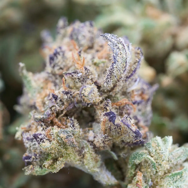 THCA Benefits