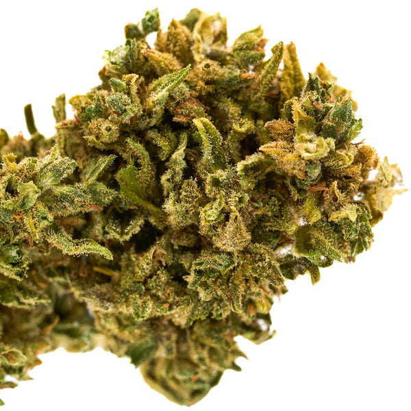 What Are Delta 8 Terpenes?