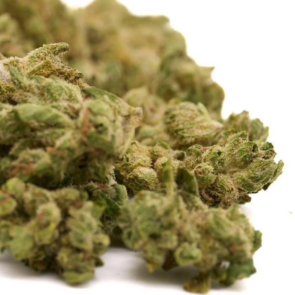 Stabilizing THCA Genetics