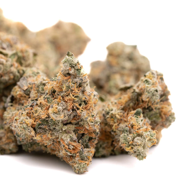 Pink Panties vs Pressure THCa Flower