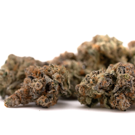 Raspberry Runtz #2 Indoor THCa Flower Wholesale - Plants