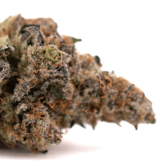 Raspberry Runtz #2 Indoor THCa Flower Wholesale - Plants