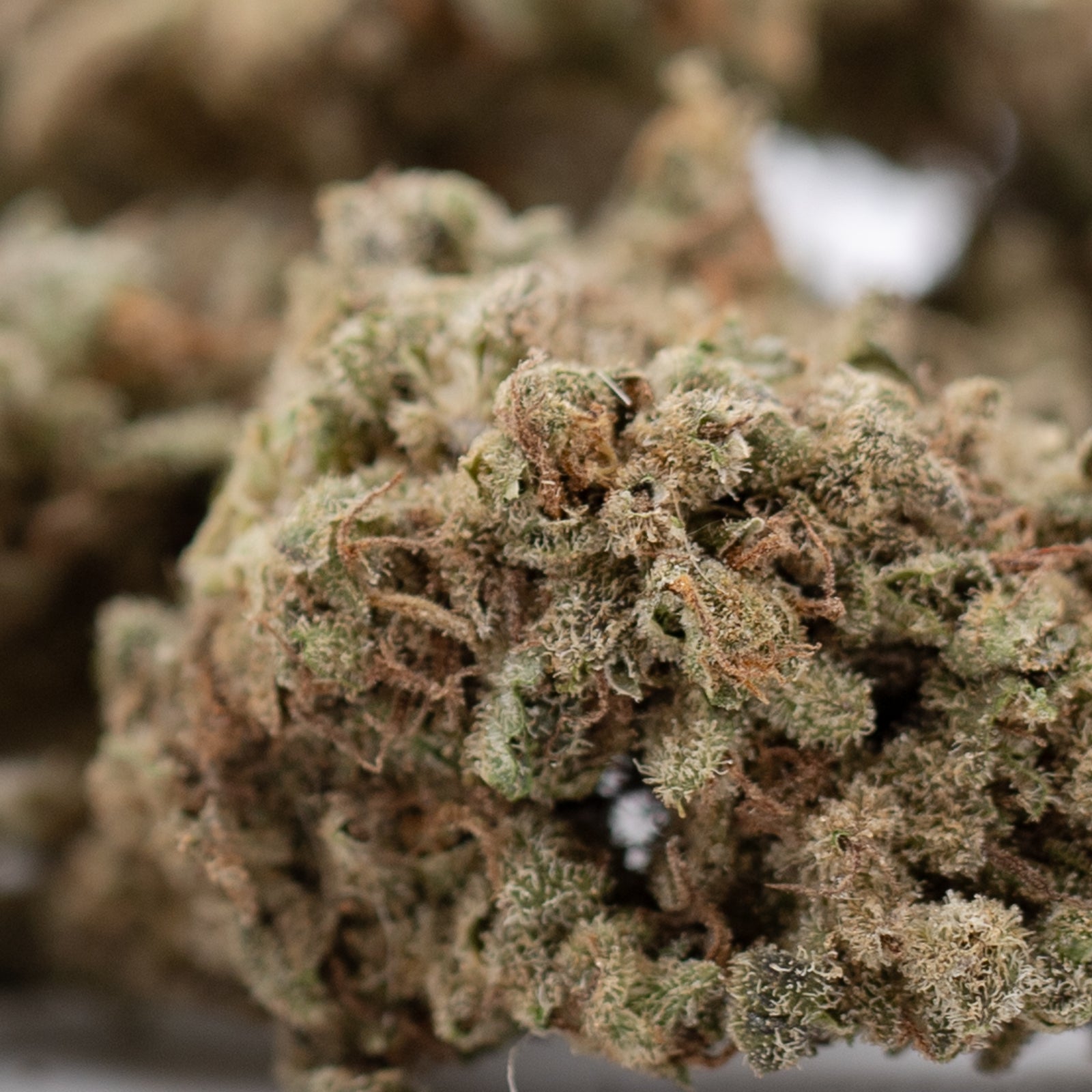 Premium Sour Apple THCa Flower: Dense trichomes, earthy tones