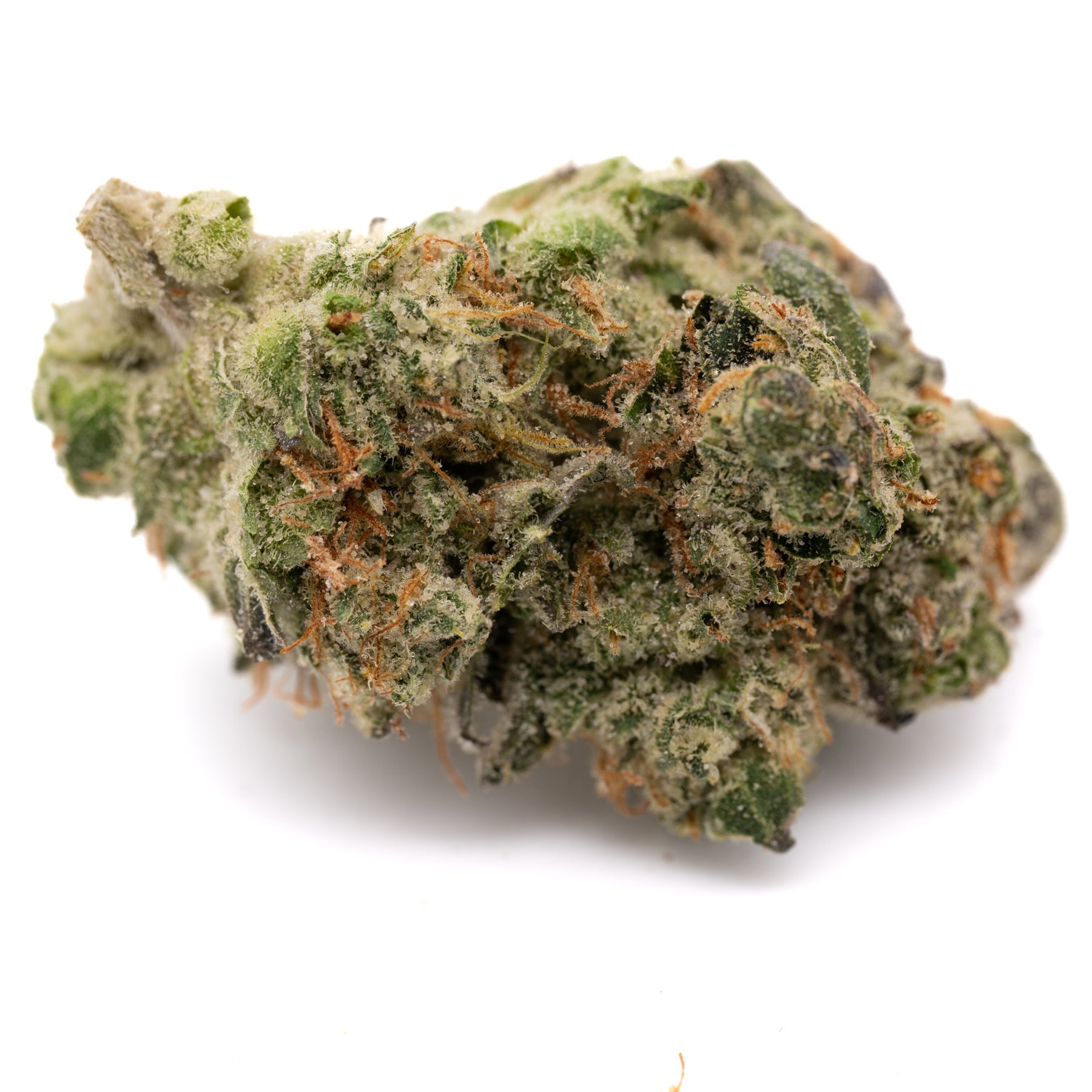 Sour Garlic THCa Hemp Flower - Plants