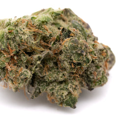 Sour Garlic THCa Hemp Flower - Plants