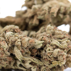 Sour Diesel THCa Flower Full-Term