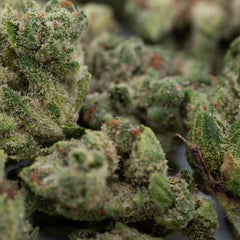 Star Krunch THCa Hemp Flower Smalls - Plants