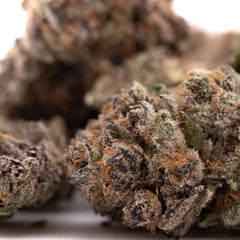 Tropical Paradise Indoor THCa Flower - Plants