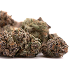 Tropical Paradise Indoor THCa Flower - Plants