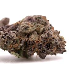 Tropical Paradise Indoor THCa Flower - Plants