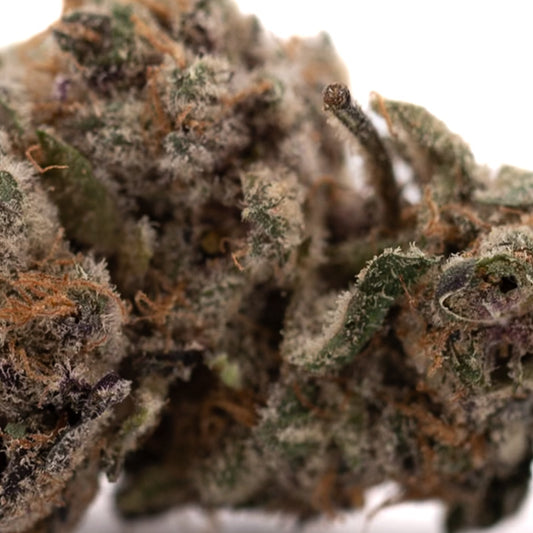 Tropical Paradise Indoor THCa Flower - Plants
