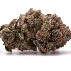 Tropical Paradise Indoor THCa Flower - Plants