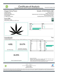 Tune CBD Hemp Flower Smalls - Plants