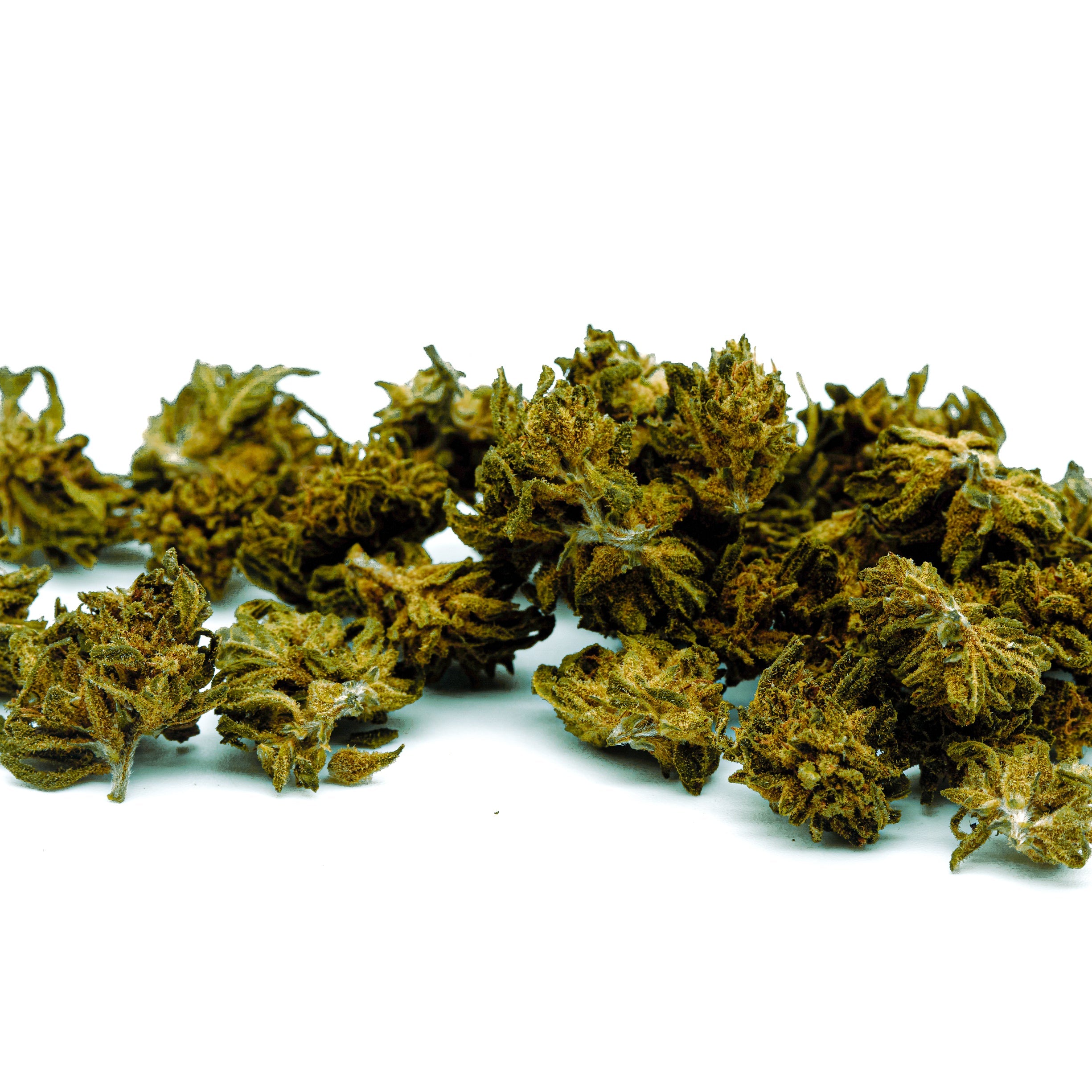 Small Buds Wholesale